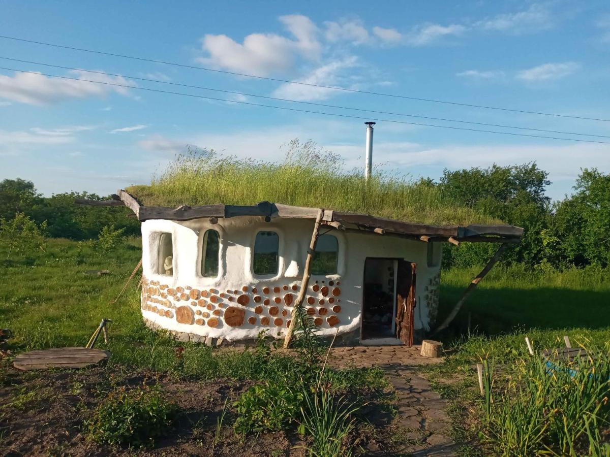Vila Сказочный Дом Buki  Exteriér fotografie